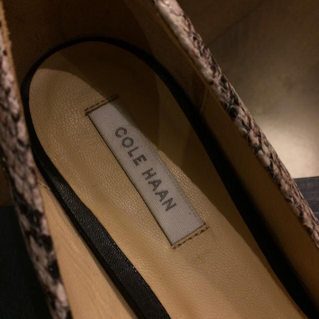 Cole Haan(コールハーン)のCOLE HAAN パイソンパンプス♡ レディースの靴/シューズ(ハイヒール/パンプス)の商品写真