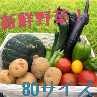 産地直送！ 夏野菜の詰め合わせ 80サイズ(野菜)