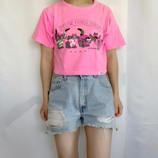 サンタモニカ(Santa Monica)の古着 90s クリバンキャット ショートTEE(Tシャツ(半袖/袖なし))