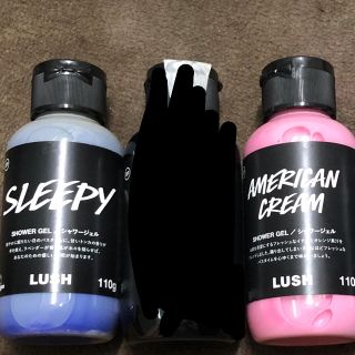 ラッシュ(LUSH)のchipi様専用 (その他)