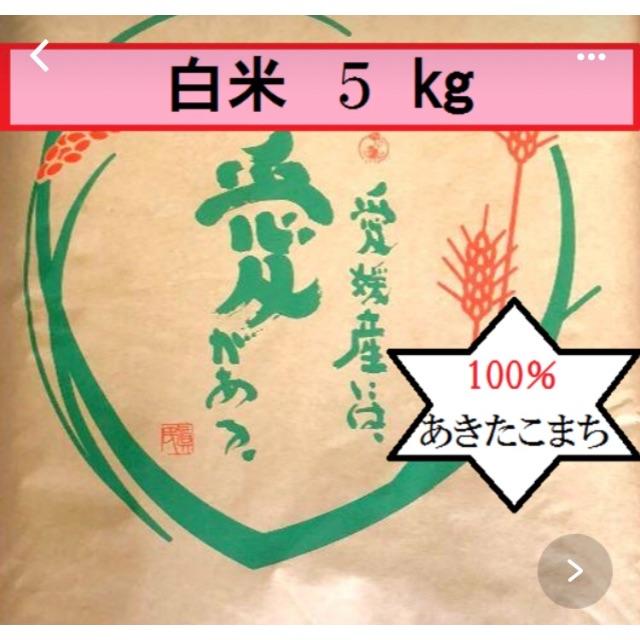 お買い得モデル 茨城県産 ふくみさん用 コシヒカリ さ自然農 9kg+5Kg 米・雑穀・粉類