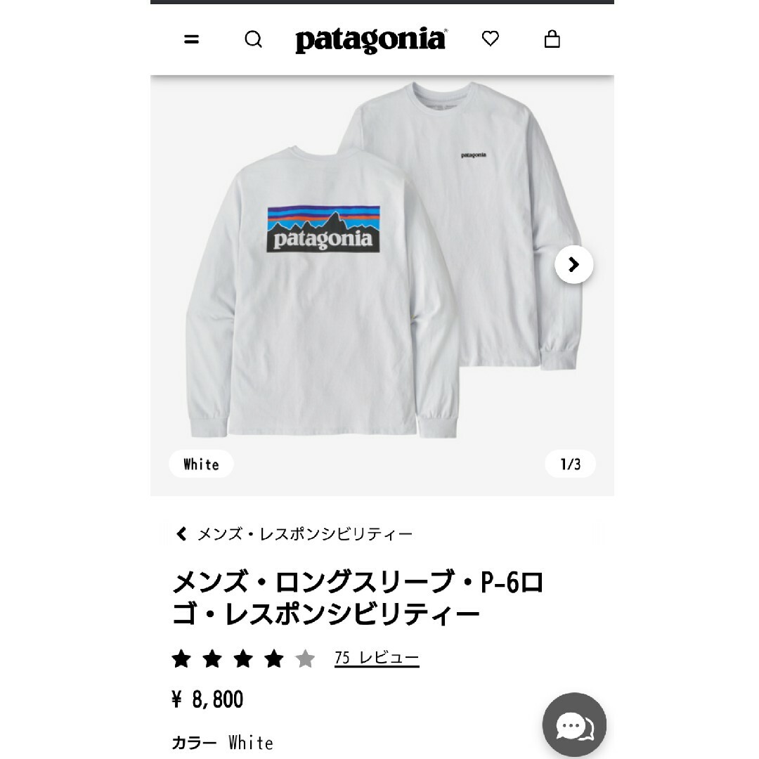 UNITED ARROWS(ユナイテッドアローズ)の値下❕★希少極美『8.800円』購入patagoniaパタゴニアカットソー メンズのトップス(Tシャツ/カットソー(七分/長袖))の商品写真