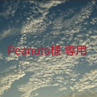 【Peanuts様 専用】エレファントカシマシ 悪魔のささやき 初回限定盤Ａ(ポップス/ロック(邦楽))
