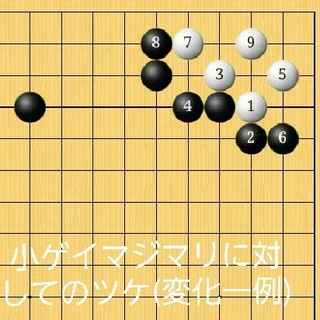 19×4(囲碁/将棋)