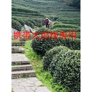 台湾 凍頂烏龍茶 300g 1袋あたり(茶)