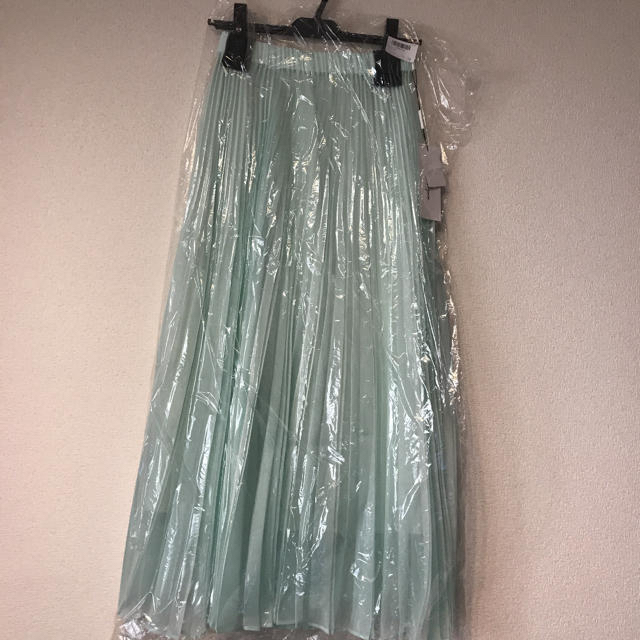 The Virgnia(ザヴァージニア)の【新品】オーロラプリーツスカート レディースのスカート(ロングスカート)の商品写真