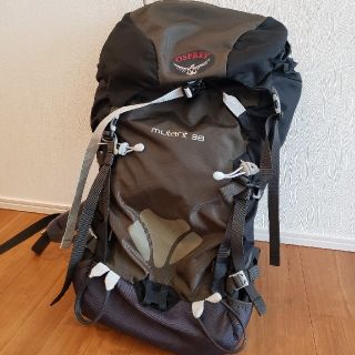 オスプレイ(Osprey)のオスプレイ 38(登山用品)