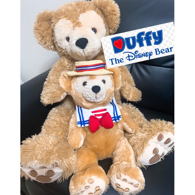 Duffy【値下げ可】ジャンボリーナイト＆ダッフィーMサイズ