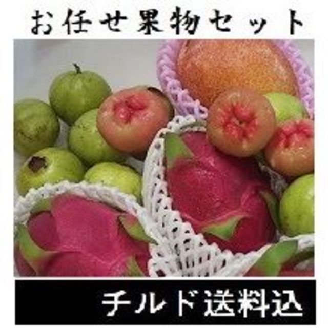 『おまかせ果物セット（Ｓ）お試しセット』レンブ グァバ 果物詰め合わせ 食品/飲料/酒の食品(フルーツ)の商品写真