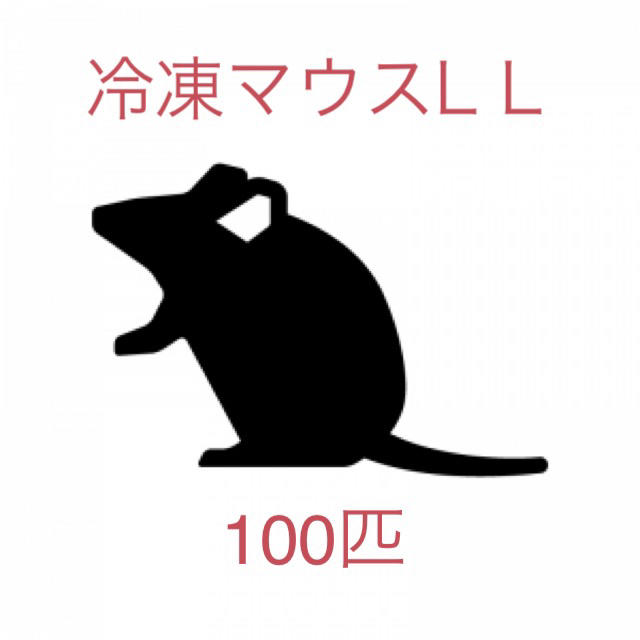 冷凍マウス アダルトL Lサイズ 100匹 【激安アウトレット!】 6423円