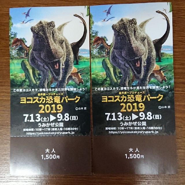 ヨコスカ恐竜パーク  4枚セット チケットのイベント(キッズ/ファミリー)の商品写真