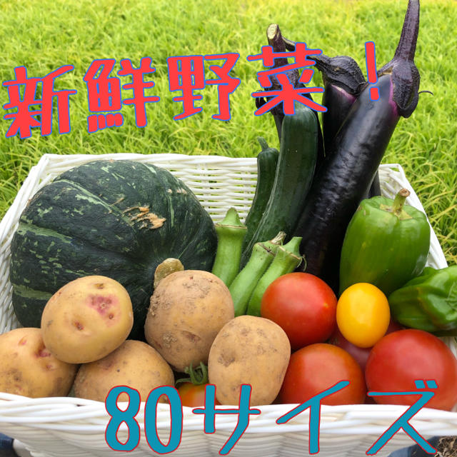 産地直送！ 長崎県産夏野菜セット！ 80サイズ 食品/飲料/酒の食品(野菜)の商品写真