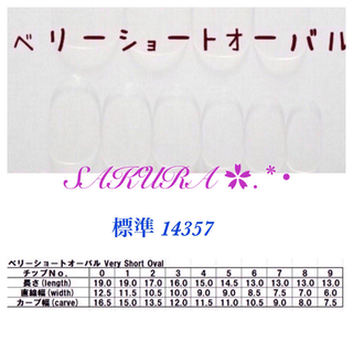 ネイルチップ e63 コスメ/美容のネイル(つけ爪/ネイルチップ)の商品写真