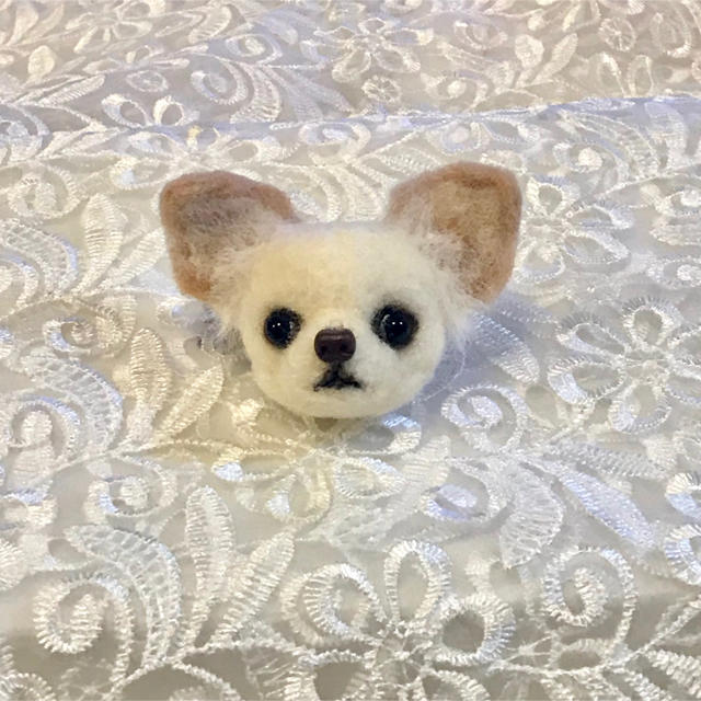 人気ブランドの 羊毛フェルト ハンドメイド【チワワ】ロ様専用ページ - おもちゃ/人形 - www.cecop.gob.mx 人気ブランドの 羊毛フェルト ハンドメイド【チワワ】ロ様専用ページ - おもちゃ/人形 - www.cecop.gob.mx