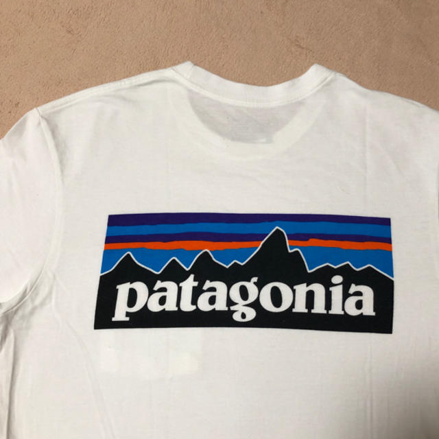 patagonia(パタゴニア)のPatagonia Tシャツ メンズのトップス(Tシャツ/カットソー(半袖/袖なし))の商品写真