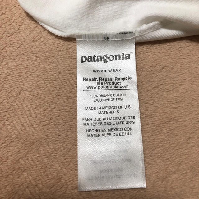 patagonia(パタゴニア)のPatagonia Tシャツ メンズのトップス(Tシャツ/カットソー(半袖/袖なし))の商品写真