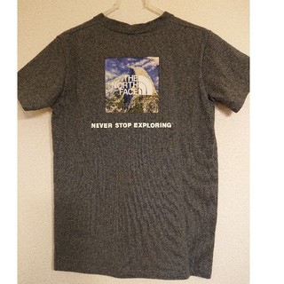 ザノースフェイス(THE NORTH FACE)のThe North Face レディースTシャツ Mサイズ(Tシャツ(半袖/袖なし))