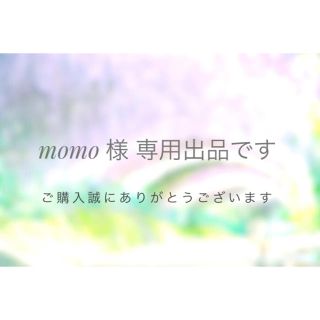 momo様専用出品です(ピアス)