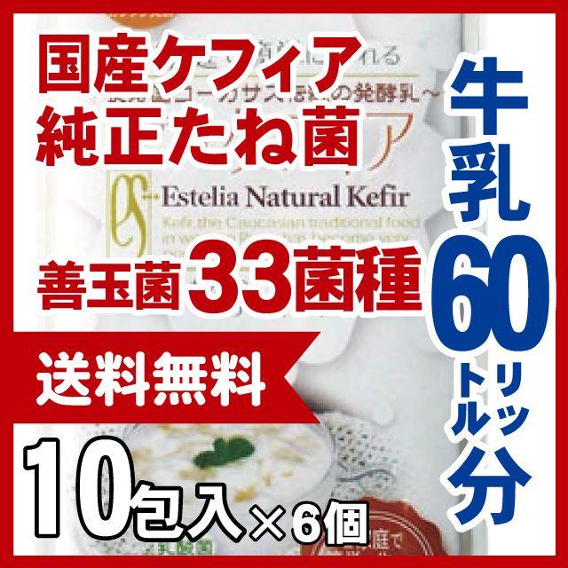 スーパーヨーグルト　６０リットル分　たね菌【メ直】