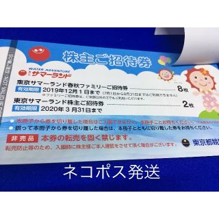 東京都競馬　サマーランド　株主優待券2冊　ネコポス発送　2020年3月31日迄(プール)