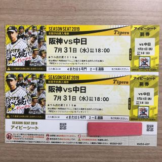 ハンシンタイガース(阪神タイガース)の阪神 vs 中日 7月31日(水) 甲子園 アイビーシート ペアチケット(野球)