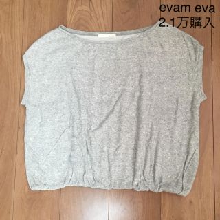 エヴァムエヴァ(evam eva)の2.1万購入 evam eva(エヴァムエヴァ)パイル地 半袖トップス グレー白(カットソー(半袖/袖なし))