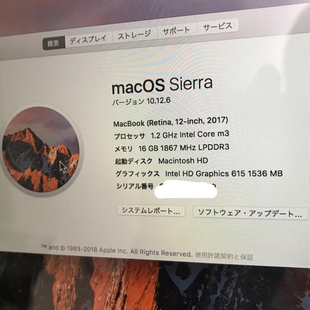 【美品】MacBook 12インチ 2017モデル 16GB/256GB