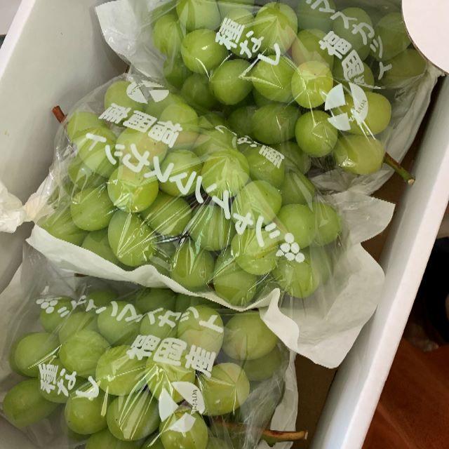 福岡県産　種なしぶどう　シャインマスカット　３房／ケース　送料込 食品/飲料/酒の食品(フルーツ)の商品写真