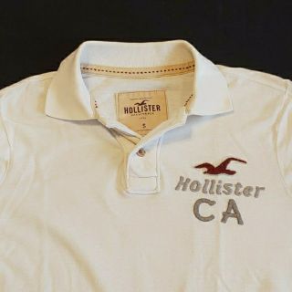 ホリスター(Hollister)のHollisterポロシャツ(ポロシャツ)