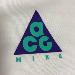 ナイキ(NIKE)のacg Tシャツ Mサイズ 新品 未使用(Tシャツ/カットソー(半袖/袖なし))