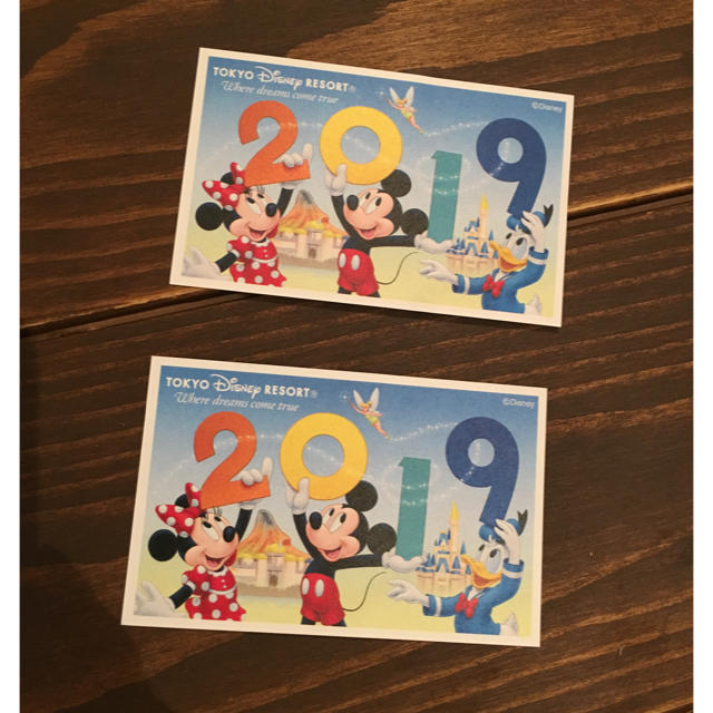 Disney(ディズニー)のディズニーチケット 小人2枚 チケットの施設利用券(遊園地/テーマパーク)の商品写真