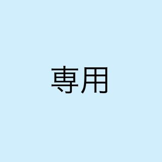 専用(その他)