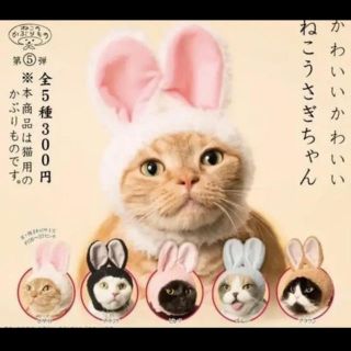 猫らぶ♡様専用出品(その他)