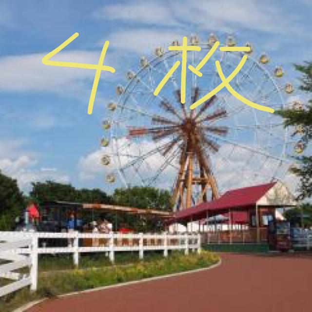 4枚 東武動物公園 フリーパス