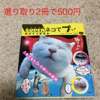 タカラジマシャ(宝島社)の茶々太郎様専用ページ【選り取り】SUPERネコでプッ！面白ネコ画像集(その他)