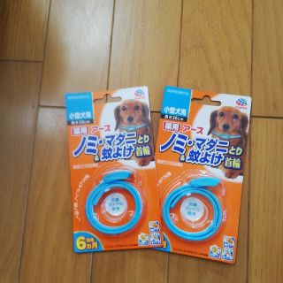 小型犬用ノミ、マダニとり&蚊よけ首輪(犬)