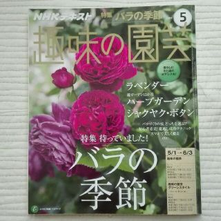 趣味の園芸　特集 バラの季節/ラベンダー/ハーブガーデン他(趣味/スポーツ/実用)