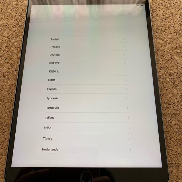 iPad pro 10.5 64G