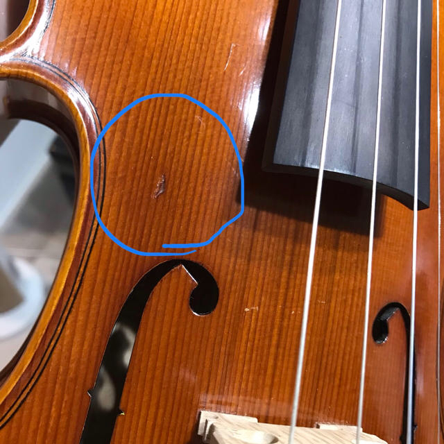 ヴァイオリン 4/4 Pygmalius  DERIUS セット 楽器の弦楽器(ヴァイオリン)の商品写真