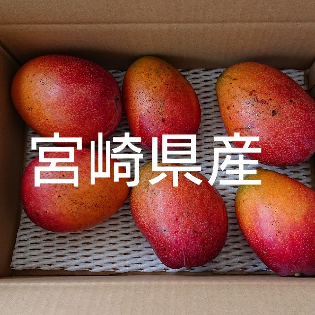 kerikoさん専用  訳あり 完熟マンゴー ３キロ段ボール 食品/飲料/酒の食品(フルーツ)の商品写真