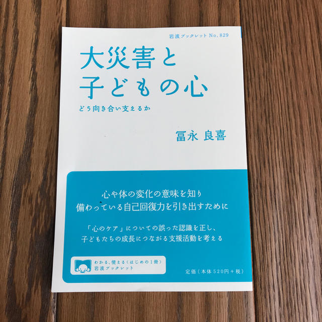 岩波書店(イワナミショテン)の大災害と子どもの心 エンタメ/ホビーの本(健康/医学)の商品写真