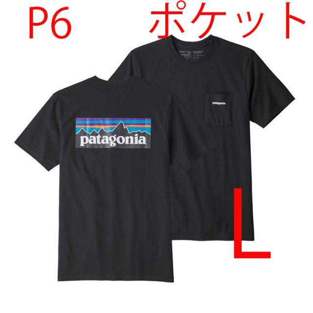 即日発送！新品 Patagonia Tシャツ