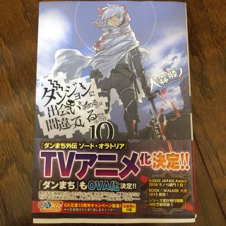 ダンジョンに出会いを求めるのは間違っているだろうか 10巻(文学/小説)