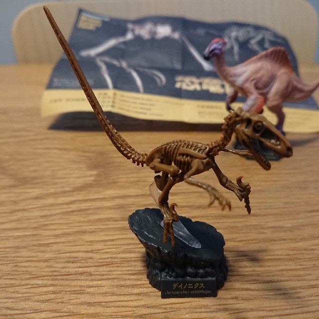 海洋堂 恐竜博19 フィギュア デイノニクス デイノケイルス セットの通販 By リョータ S Shop カイヨウドウならラクマ 海洋堂 恐竜博19 フィギュア デイノニクス デイノケイルス セットの通販 By リョータ S Shop カイヨウドウならラクマ