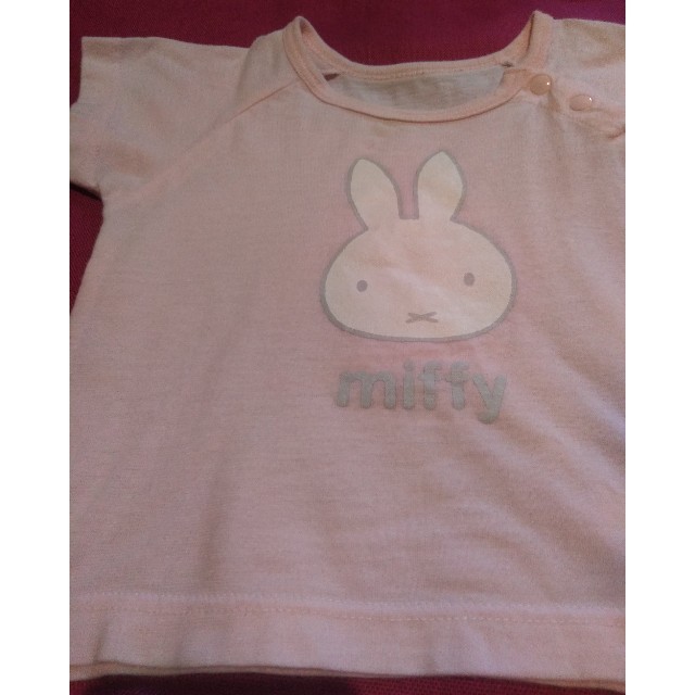 ✨miffy、ベビー/プリントTシャツ、美品 キッズ/ベビー/マタニティのベビー服(~85cm)(Ｔシャツ)の商品写真