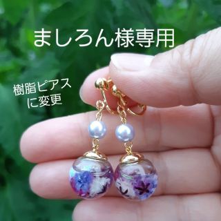 ましろん様専用　桜入りパール付
ハーバリウム樹脂ピアス☆パープル(ピアス)