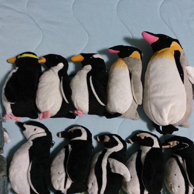 世界18種類が一堂に会するペンギンサミットミニポーチの会