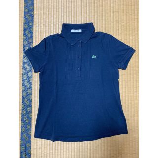 ラコステ(LACOSTE)のラコステ LACOSTE サイズ 36(ポロシャツ)