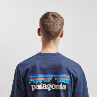 パタゴニア(patagonia)のパタゴニア T shirt(Tシャツ/カットソー(半袖/袖なし))