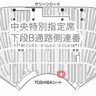 通路側 8/10 第5日目 101回 高校野球 甲子園 ネット裏 中央特別指定席(野球)